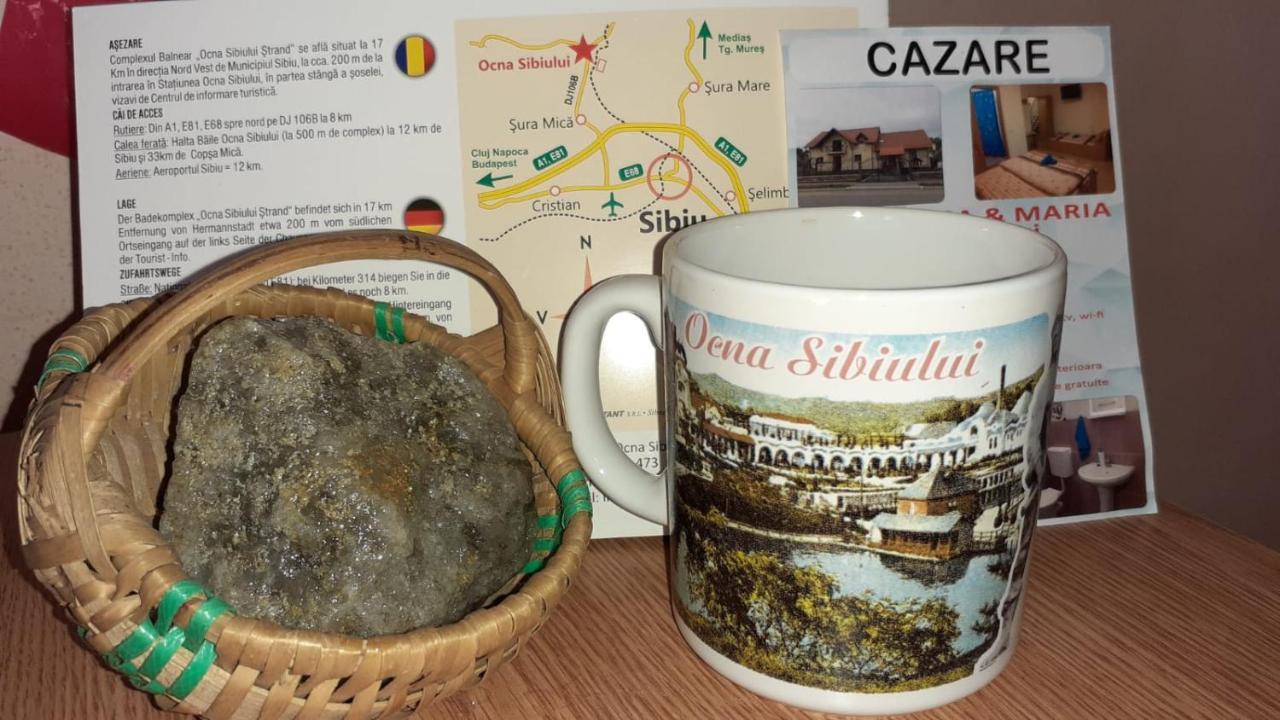 Casa Raisa & Maria Hotell Ocna Sibiului Exteriör bild