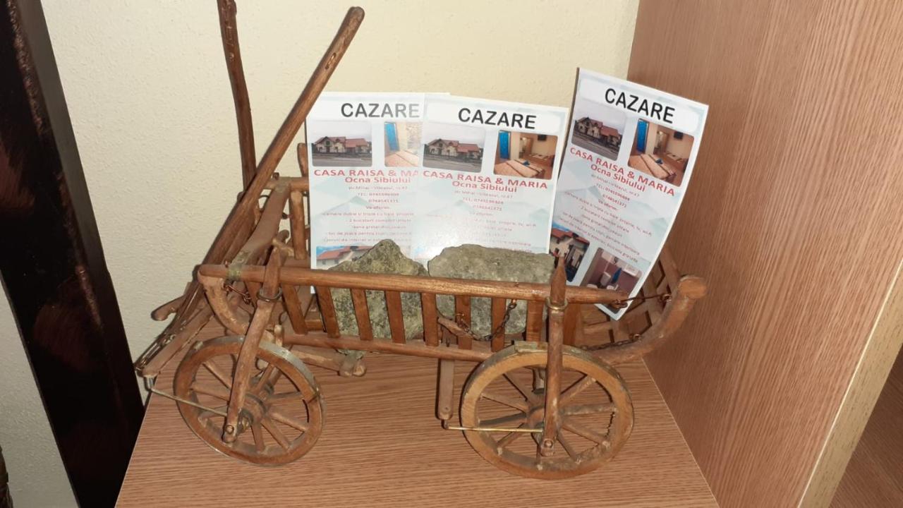 Casa Raisa & Maria Hotell Ocna Sibiului Exteriör bild