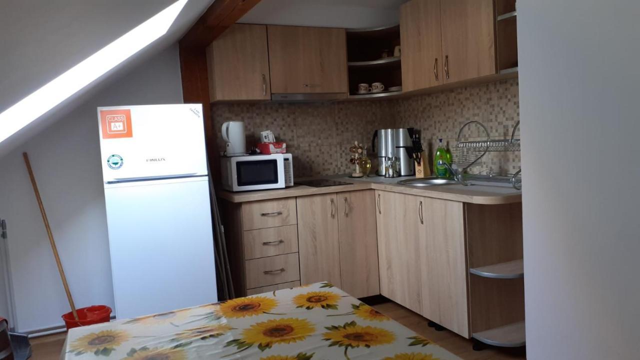 Casa Raisa & Maria Hotell Ocna Sibiului Exteriör bild