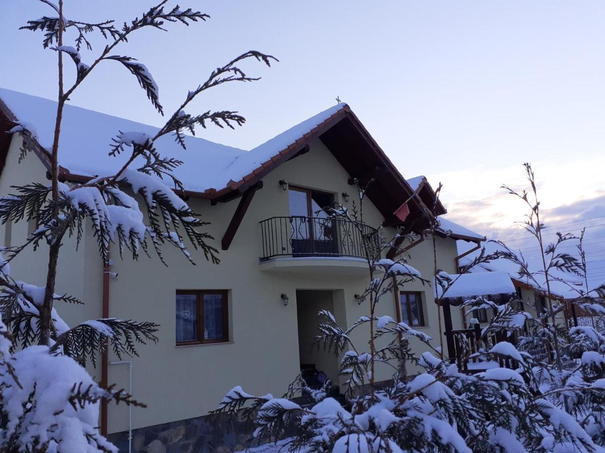 Casa Raisa & Maria Hotell Ocna Sibiului Exteriör bild