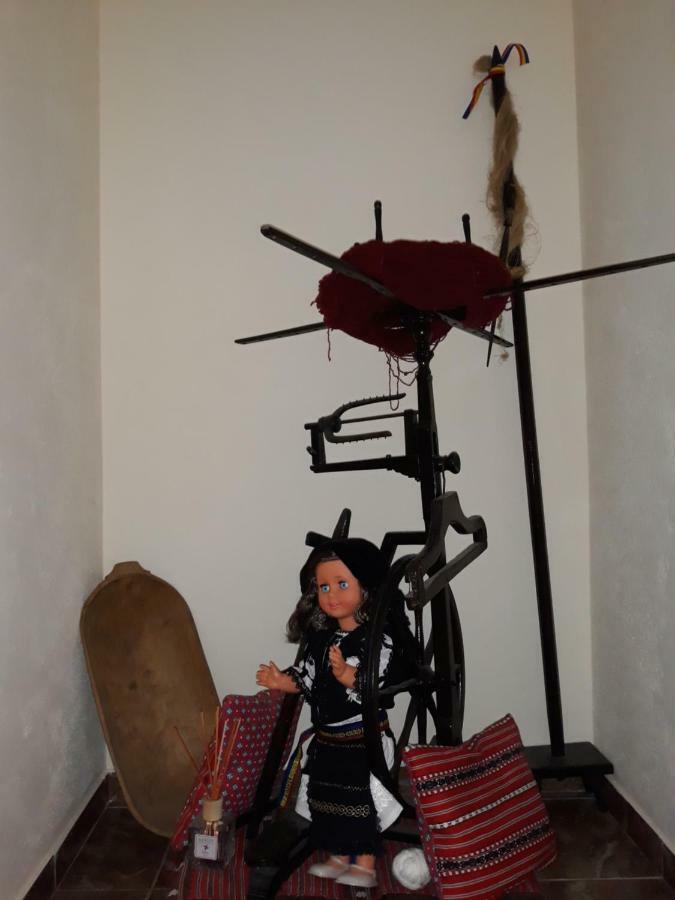 Casa Raisa & Maria Hotell Ocna Sibiului Exteriör bild